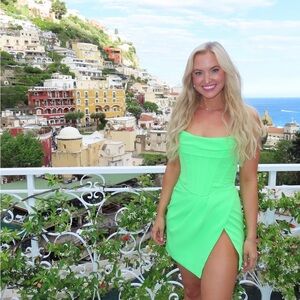 Revolve Leighton Mini Dress